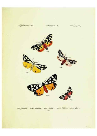 Reproducción/Reproduction 9099358979: Hübner's papilio. S.l. :s.n.,1796-1841