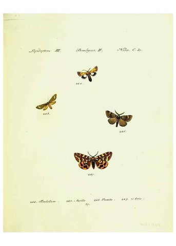 Reproducción/Reproduction 9101623548: Hübner's papilio. S.l. :s.n.,1796-1841