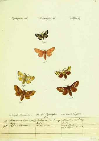 Reproducción/Reproduction 9101601952: Hübner's papilio. S.l. :s.n.,1796-1841