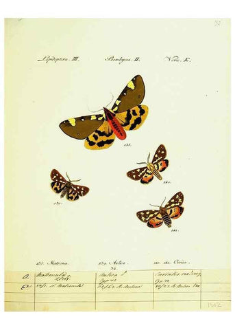 Reproducción/Reproduction 9101591404: Hübner's papilio. S.l. :s.n.,1796-1841