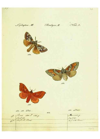 Reproducción/Reproduction 9099373383: Hübner's papilio. S.l. :s.n.,1796-1841