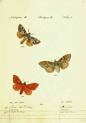 Reproducción/Reproduction 9099373383: Hübner's papilio. S.l. :s.n.,1796-1841