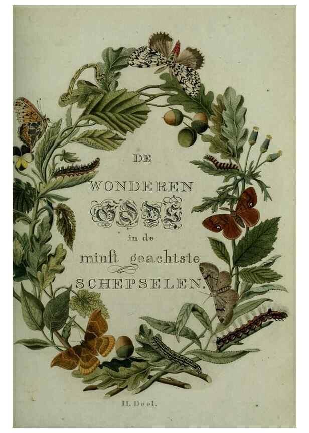 Reproducción/Reproduction 9075024881: Beschouwing der wonderen Gods :. Amsterdam :J.C. Sepp,[1762-1860]