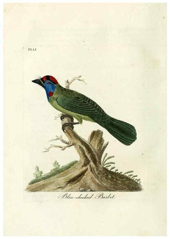 Reproducción/Reproduction 9067571132: A general history of birds /. Winchester [England] :Printed by Jacob and Johnson, for the author : sold in London by G. and W.B. Whittaker ... [and 3 others],1821-1828.