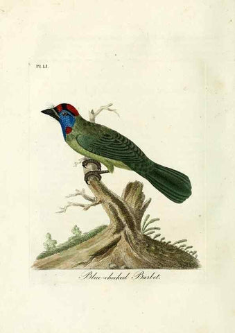 Reproducción/Reproduction 9067571132: A general history of birds /. Winchester [England] :Printed by Jacob and Johnson, for the author : sold in London by G. and W.B. Whittaker ... [and 3 others],1821-1828.