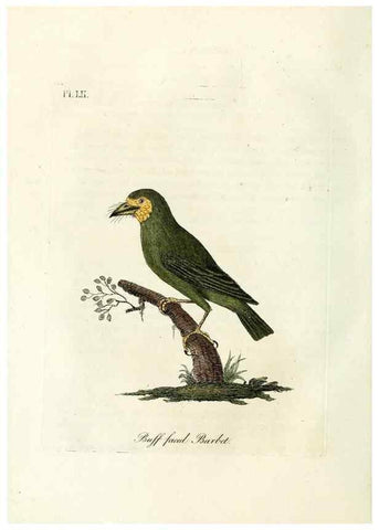 Reproducción/Reproduction 9065346433: A general history of birds /. Winchester [England] :Printed by Jacob and Johnson, for the author : sold in London by G. and W.B. Whittaker ... [and 3 others],1821-1828.