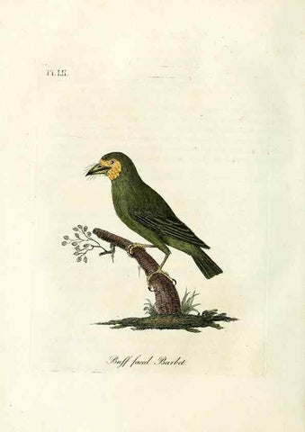 Reproducción/Reproduction 9065346433: A general history of birds /. Winchester [England] :Printed by Jacob and Johnson, for the author : sold in London by G. and W.B. Whittaker ... [and 3 others],1821-1828.