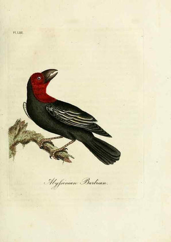 Reproducción/Reproduction 9067574040: A general history of birds /. Winchester [England] :Printed by Jacob and Johnson, for the author : sold in London by G. and W.B. Whittaker ... [and 3 others],1821-1828.