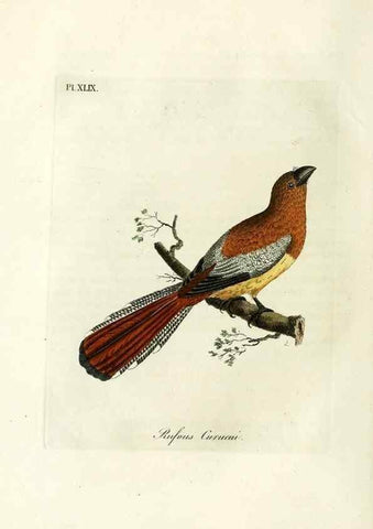 Reproducción/Reproduction 9065342309: A general history of birds /. Winchester [England] :Printed by Jacob and Johnson, for the author : sold in London by G. and W.B. Whittaker ... [and 3 others],1821-1828.