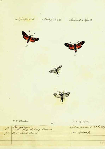 Reproducción/Reproduction 9101524992: Hübner's papilio. S.l. :s.n.,1796-1841