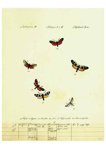Reproducción/Reproduction 9099294733: Hübner's papilio. S.l. :s.n.,1796-1841