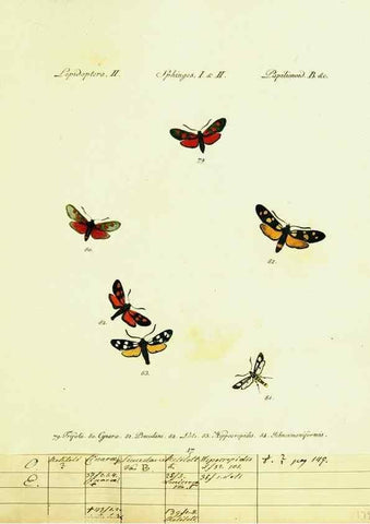 Reproducción/Reproduction 9099294733: Hübner's papilio. S.l. :s.n.,1796-1841