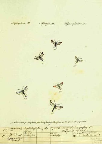 Reproducción/Reproduction 9101529110: Hübner's papilio. S.l. :s.n.,1796-1841