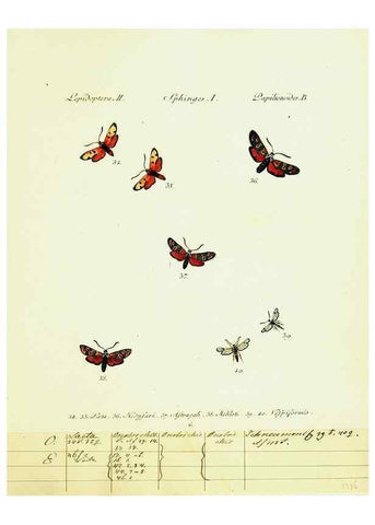 Reproducción/Reproduction 9099277325: Hübner's papilio. S.l. :s.n.,1796-1841