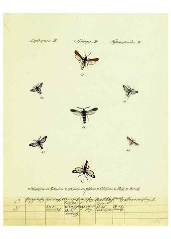 Reproducción/Reproduction 9099278539: Hübner's papilio. S.l. :s.n.,1796-1841