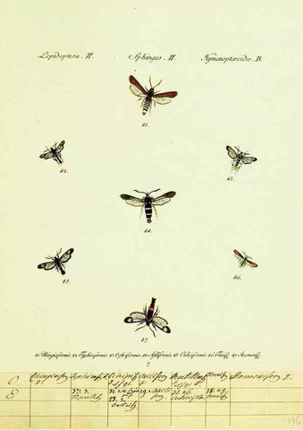 Reproducción/Reproduction 9099278539: Hübner's papilio. S.l. :s.n.,1796-1841