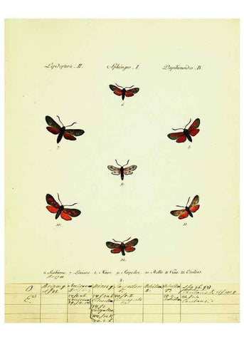Reproducción/Reproduction 9101503772: Hübner's papilio. S.l. :s.n.,1796-1841
