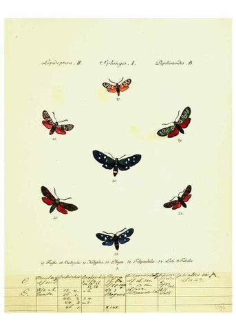 Reproducción/Reproduction 9099275309: Hübner's papilio. S.l. :s.n.,1796-1841