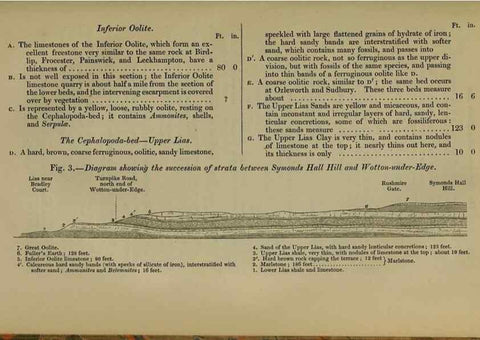 Reproducción/Reproduction 12683228275: The Quarterly journal of the Geological Society of London.. London [etc.]