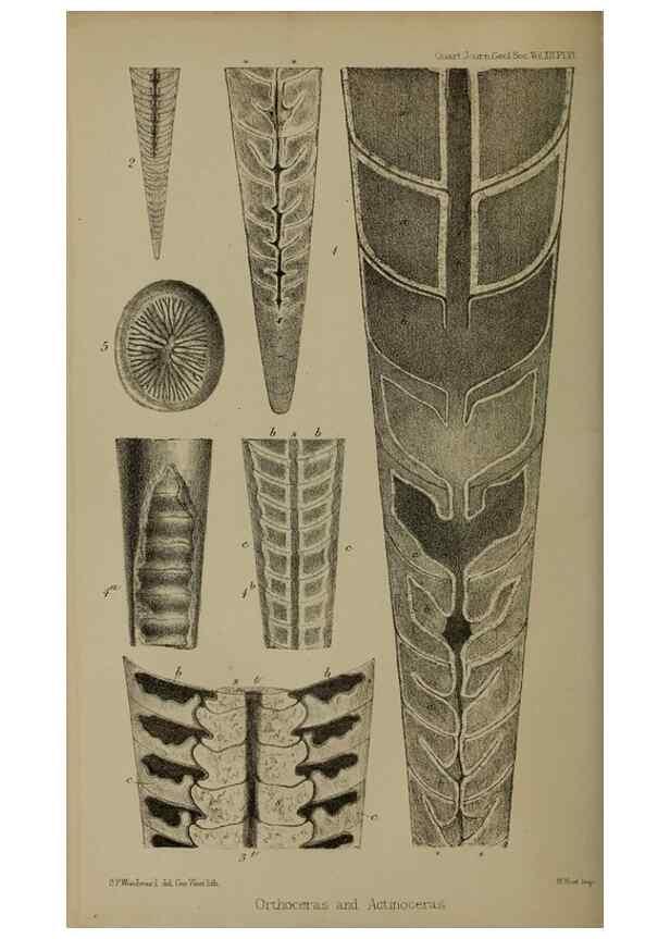 Reproducción/Reproduction 12683730934: The Quarterly journal of the Geological Society of London.. London [etc.]