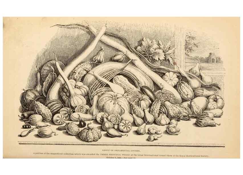 Reproducción/Reproduction 15291970229: Barr & Sugden's spring seed catalogue and guide to the flower and kitchen garden /. London :Barr & Sugden,1861-1882.