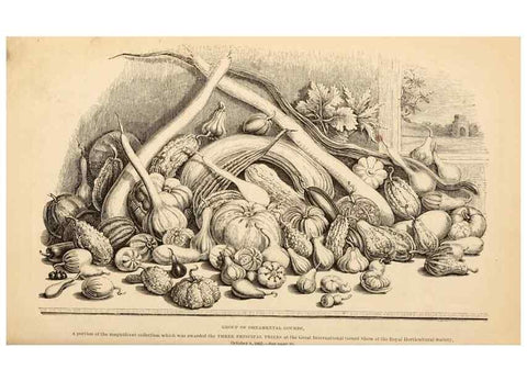 Reproducción/Reproduction 15291970229: Barr & Sugden's spring seed catalogue and guide to the flower and kitchen garden /. London :Barr & Sugden,1861-1882.