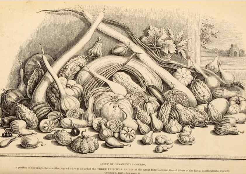 Reproducción/Reproduction 15291970229: Barr & Sugden's spring seed catalogue and guide to the flower and kitchen garden /. London :Barr & Sugden,1861-1882.
