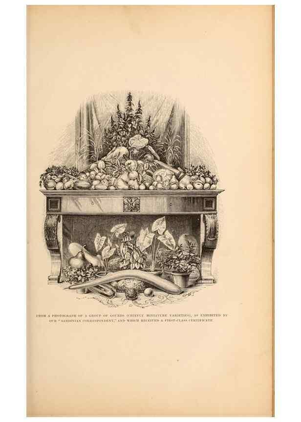 Reproducción/Reproduction 15480165072: Barr & Sugden's spring seed catalogue and guide to the flower and kitchen garden /. London :Barr & Sugden,1861-1882.