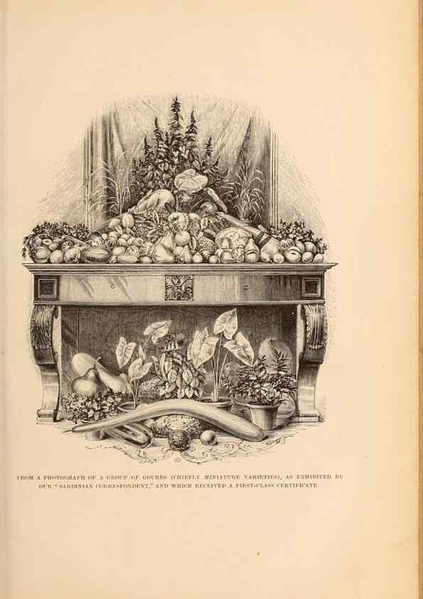 Reproducción/Reproduction 15480165072: Barr & Sugden's spring seed catalogue and guide to the flower and kitchen garden /. London :Barr & Sugden,1861-1882.