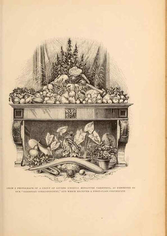 Reproducción/Reproduction 15480165072: Barr & Sugden's spring seed catalogue and guide to the flower and kitchen garden /. London :Barr & Sugden,1861-1882.