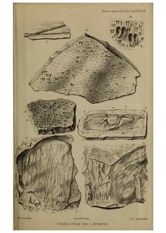 Reproducción/Reproduction 12683189255: The Quarterly journal of the Geological Society of London.. London [etc.]