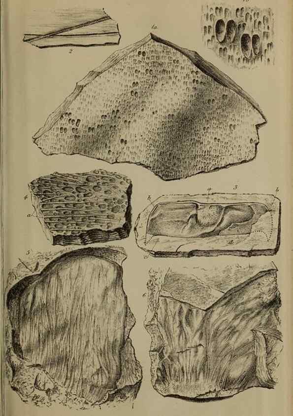 Reproducción/Reproduction 12683189255: The Quarterly journal of the Geological Society of London.. London [etc.]