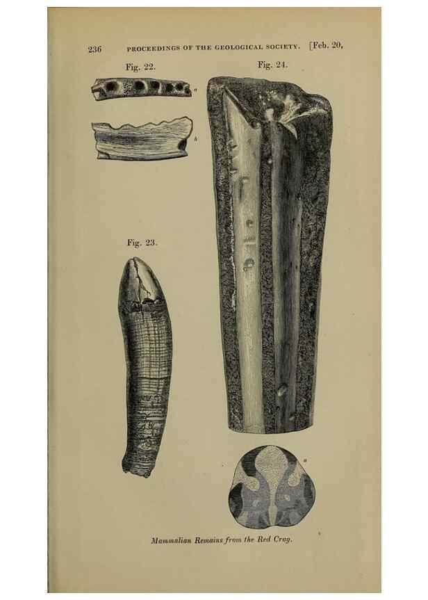 Reproducción/Reproduction 12683323503: The Quarterly journal of the Geological Society of London.. London [etc.]