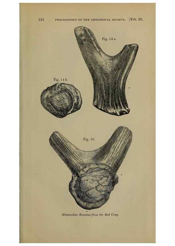 Reproducción/Reproduction 12683317403: The Quarterly journal of the Geological Society of London.. London [etc.]