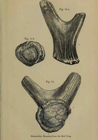 Reproducción/Reproduction 12683317403: The Quarterly journal of the Geological Society of London.. London [etc.]