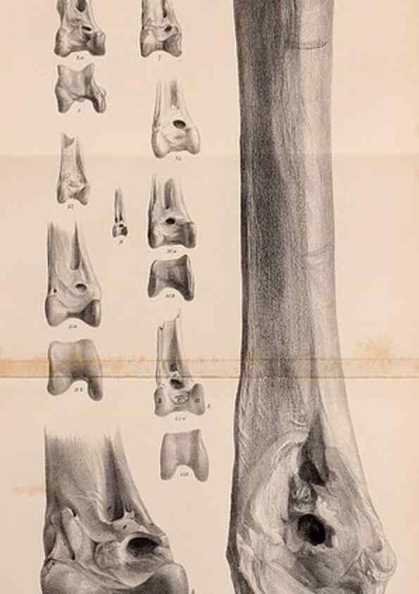 Reproducción/Reproduction 12682979405: The Quarterly journal of the Geological Society of London.. London [etc.]