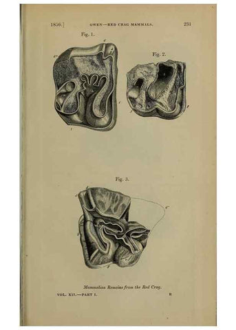 Reproducción/Reproduction 12683454374: The Quarterly journal of the Geological Society of London.. London [etc.]
