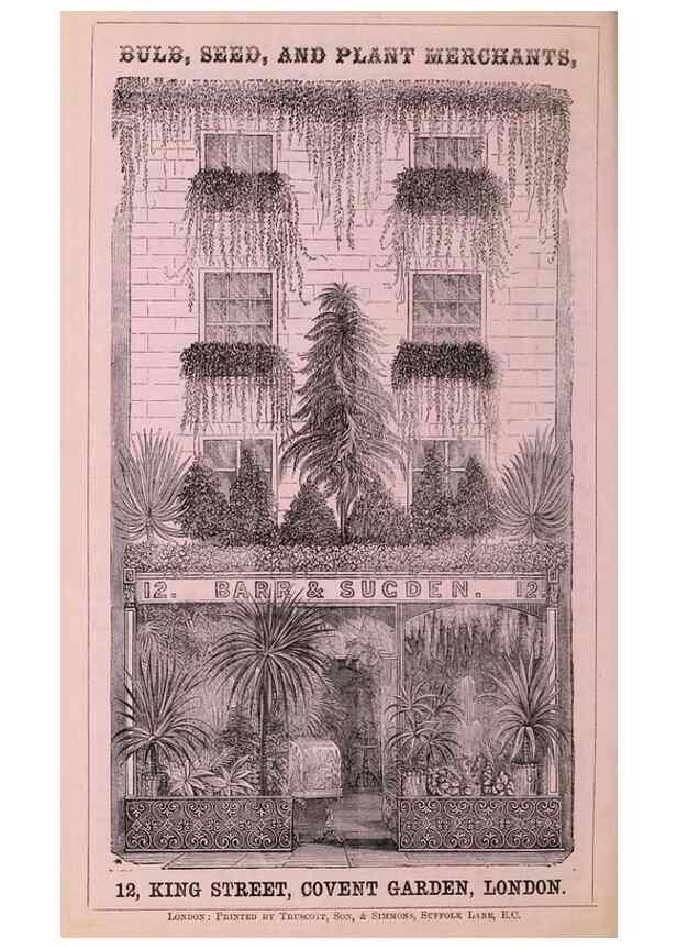 Reproducción/Reproduction 15535480555: Barr & Sugden's spring seed catalogue and guide to the flower and kitchen garden /. London :Barr & Sugden,1861-1882.