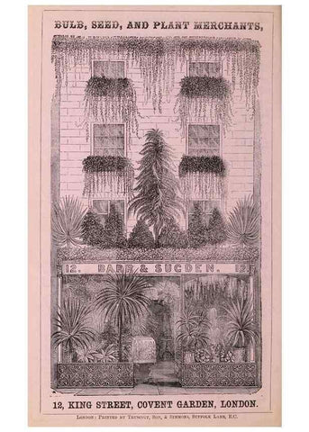 Reproducción/Reproduction 15535480555: Barr & Sugden's spring seed catalogue and guide to the flower and kitchen garden /. London :Barr & Sugden,1861-1882.
