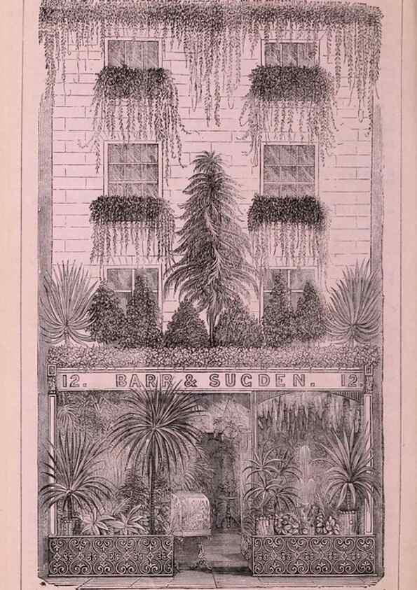 Reproducción/Reproduction 15535480555: Barr & Sugden's spring seed catalogue and guide to the flower and kitchen garden /. London :Barr & Sugden,1861-1882.