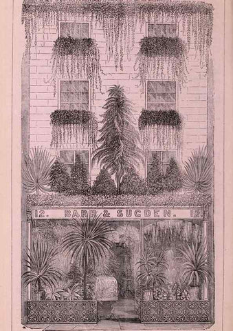 Reproducción/Reproduction 15535480555: Barr & Sugden's spring seed catalogue and guide to the flower and kitchen garden /. London :Barr & Sugden,1861-1882.