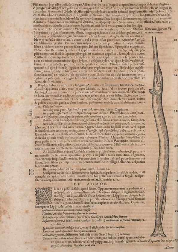 Reproducción/Reproduction 15382352717: Conradi Gesneri medici Tigurini Historiae animalium liber IV :. Francofurti :In Bibliopolio Andreae Cambieri,anno MDCIIII [1604]