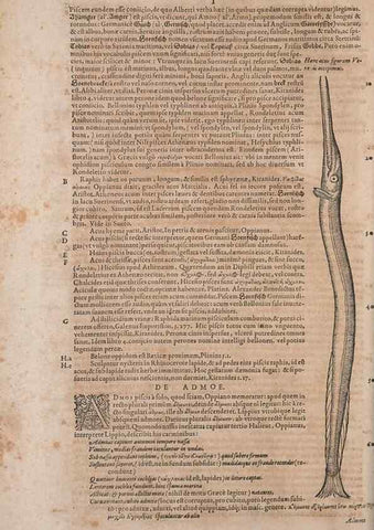 Reproducción/Reproduction 15382352717: Conradi Gesneri medici Tigurini Historiae animalium liber IV :. Francofurti :In Bibliopolio Andreae Cambieri,anno MDCIIII [1604]