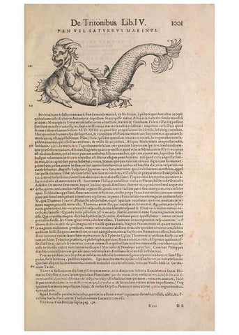 Reproducción/Reproduction 15383417167: Conradi Gesneri medici Tigurini Historiae animalium liber IV :. Francofurti :In Bibliopolio Andreae Cambieri,anno MDCIIII [1604]