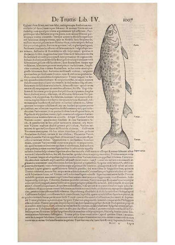 Reproducción/Reproduction 15545726986: Conradi Gesneri medici Tigurini Historiae animalium liber IV :. Francofurti :In Bibliopolio Andreae Cambieri,anno MDCIIII [1604]