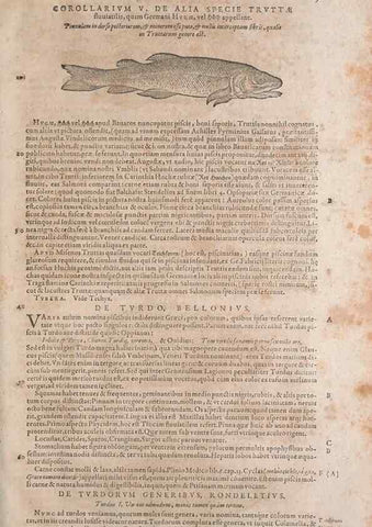 Reproducción/Reproduction 15383283708: Conradi Gesneri medici Tigurini Historiae animalium liber IV :. Francofurti :In Bibliopolio Andreae Cambieri,anno MDCIIII [1604]