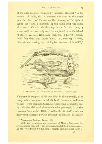 Reproducción/Reproduction 15401954700: Sea fables explained /. London :W. Clowes and sons, ltd.,1883.