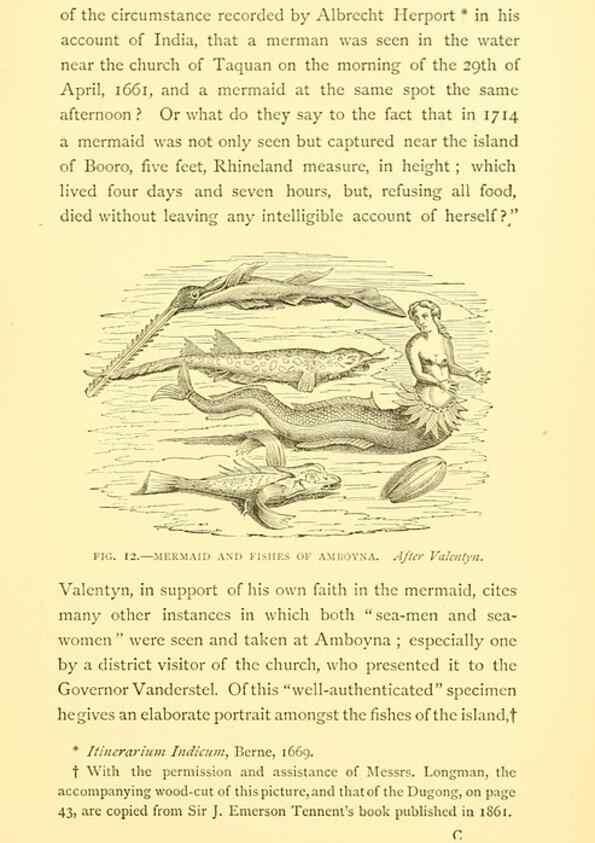 Reproducción/Reproduction 15401954700: Sea fables explained /. London :W. Clowes and sons, ltd.,1883.