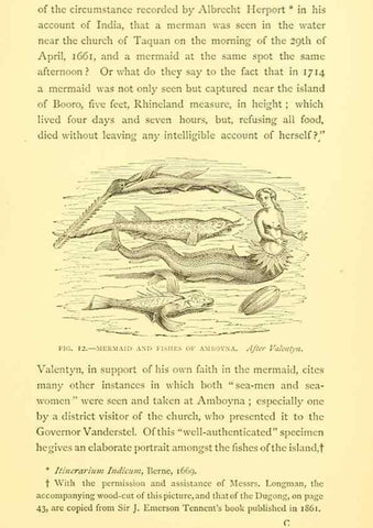 Reproducción/Reproduction 15401954700: Sea fables explained /. London :W. Clowes and sons, ltd.,1883.