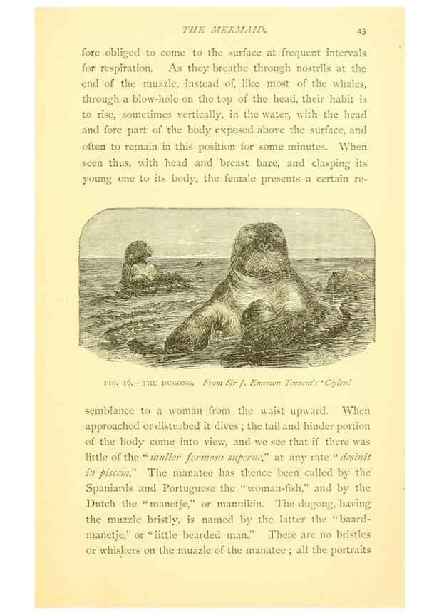 Reproducción/Reproduction 15584909821: Sea fables explained /. London :W. Clowes and sons, ltd.,1883.